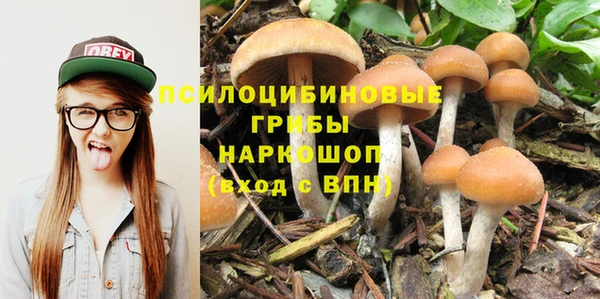 соль ск Арсеньев