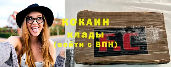 соль ск Арсеньев